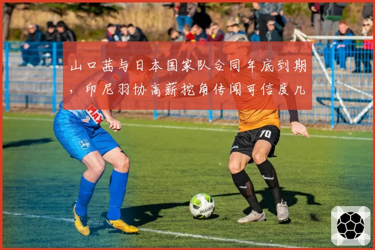 山口茜与日本国家队合同年底到期,印尼羽协高薪挖角传闻可信度几何?