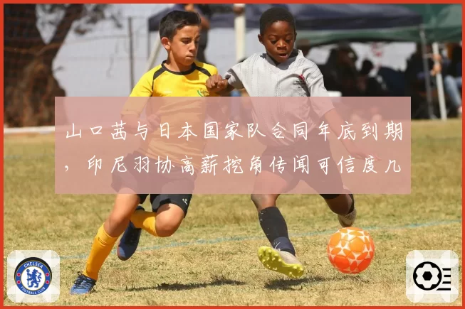 山口茜与日本国家队合同年底到期，印尼羽协高薪挖角传闻可信度几何？