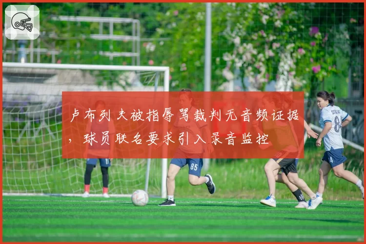 卢布列夫被指辱骂裁判无音频证据,球员联名要求引入录音监控