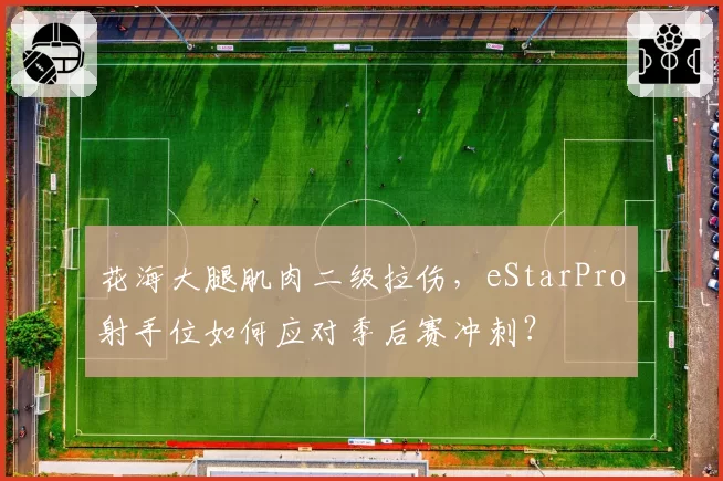 花海大腿肌肉二级拉伤，eStarPro射手位如何应对季后赛冲刺？